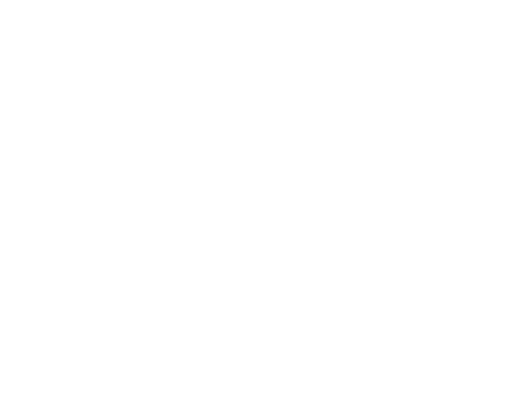 tb8-shape-10